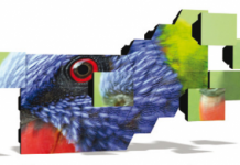 EYEVIS OMNISHAPES TILES GIVE CREATIVE FLEXIBILITY TO BRANDS