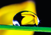 Why Green Business Is Good Business