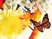 Make life’s journey happy with love