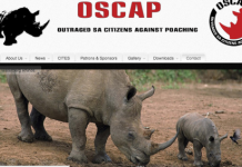 INTAMARKET AND AVERY TEAM UP AGAINST RHINO POACHING