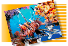 THE PAPERPLOT LAUNCHES SIHL BANNER MATERIAL FOR SOLVENT, LATEX AND AQUEOUS INKS