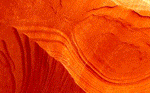Midcomp_Stitch_SAb_May19-2