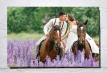 Monadnock Paper Mills Introduces Envi Wall Art Monadnock Paper Mills introduces Envi Wall Art.