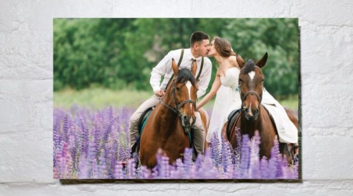 Monadnock Paper Mills introduces Envi Wall Art.
