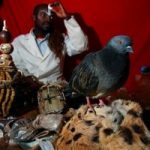 traditional-healers-in-south-africa-300×200