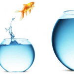 Screen Shot 2018-05-30 at 8.18.58 AM