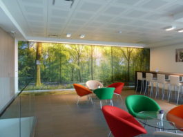 Grafityp Introduces New Wall Decoration Films Grafityp introduces new wall decoration films.