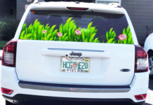 ATL Lighting Systems Unveils Adhesive LED Car Rear Window Screen ATL Lighting Systems Unveils Adhesive LED Car Rear Window Screen