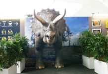 Metropole Creates Full-Size Triceratops With Massivit 3D Printer Metropole Creates Full-Size Triceratops with Massivit 3D Printer