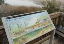 JG Electronics Introduces Duraluxe JG Electronics introduces Duraluxe.