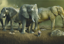 Environmental Thinking On A Bigger Scale Environmental thinking on a bigger scale.