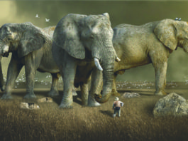 Environmental Thinking On A Bigger Scale Environmental thinking on a bigger scale.