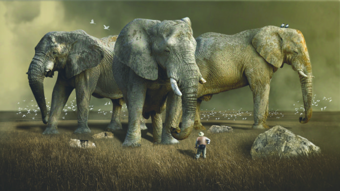 Environmental thinking on a bigger scale.