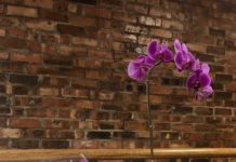 Evonik Acrylics Africa Participating At Sign Africa And FESPA Africa Expo Evonik Acrylics Africa participating at Sign Africa and FESPA Africa Expo.