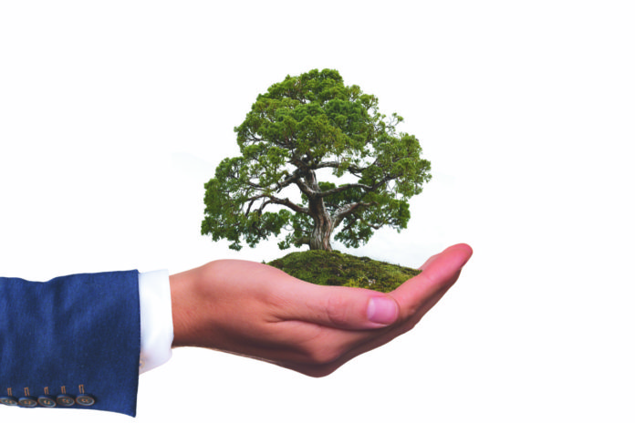 Spreading The Sustainability Message: Part 1