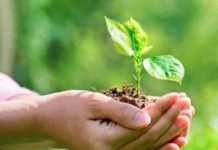 Kyocera Continues Adherence Of Environmental Charter 27 Years Later Kyocera Continues Adherence Of Environmental Charter 27 Years Later.