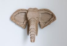 Trotec Announces TroCraft Eco Trotec announces TroCraft Eco.