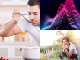 How To Use The Five Senses To Craft, Improve And Spice Up Digital Signage How To Use The Five Senses To Craft, Improve And Spice Up Digital Signage