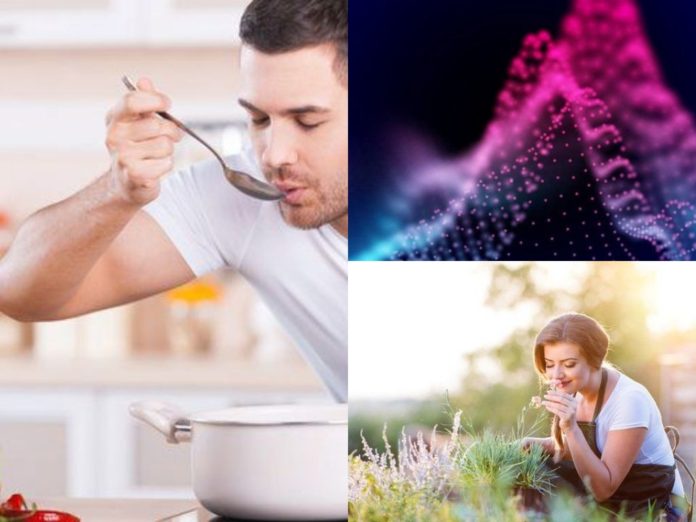 How To Use The Five Senses To Craft, Improve And Spice Up Digital Signage