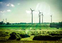 Neenah Coldenhove Creates Greener Logistics Neenah Coldenhove creates greener logistics.