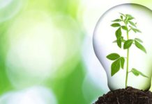 Environmentally Effective Outdoor Digital Signage Environmentally Effective Outdoor Digital Signage