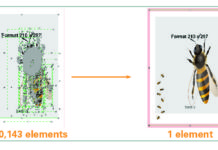 OneVision Showcasing Automation Software Solutions