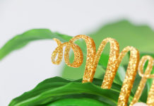 Trotec Announces TroGlitter Trotec announces Troglitter.