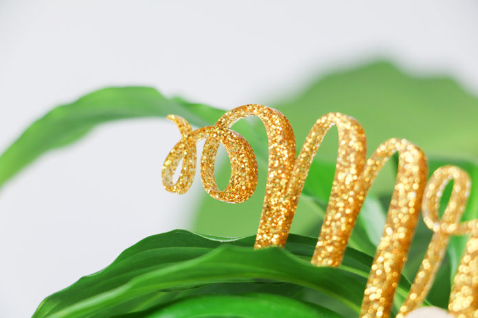 Trotec announces Troglitter.