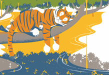 Graphics And Photo Editing Made Easy With New CorelDRAW Home & Student Suite 2019 Graphics, layout, and photo editing made easy with CorelDRAW Home & Student Suite 2019.