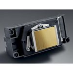 epson_r1900_printhead_1