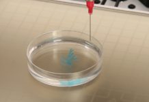 LulzBot Reports Breakthrough In 3D Medical Printing