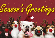 Season’s Greetings From Sign Africa