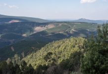 Facts About Forestry, Recycling And Greenwashing Claims