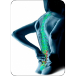 AROGYAM-PURE-HERBS-KIT-FOR-JOINT-PAINS