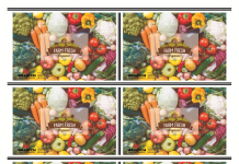 Wasatch Announces Workflow Support For Fotoba Cutters