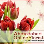 AOF_horizontal