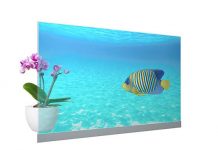 Panasonic Commercialises Transparent OLED Display Module For Digital Signage Panasonic Commercialises Transparent OLED Display Module For Digital Signage