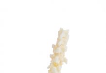 Stratasys Upgrades Printer For 3D Printed Bone Models Stratasys Upgrades Printer For 3D Printed Bone Models