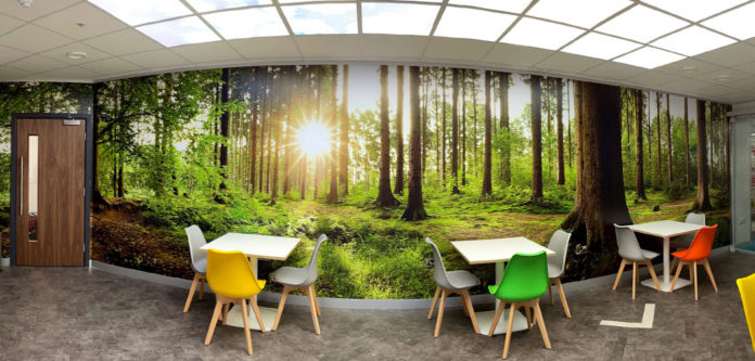 Metamark Vinyl, Overlaminate And Primer Used In Large Mural Project