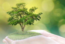 Beaver Paper Group Launches New Biodegradable Graphic Fabrics Beaver Paper Group Launches New Graphic Fabrics