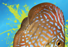 NSDS Exhibiting Screen Printing And Ink Solutions At Graphics, Print and Sign Live Demo Expo NSDS Exhibiting Screen And Ink Solutions