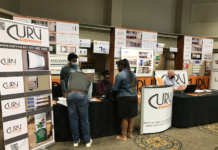 Curv Signage Displays Locally Manufactured Solutions Curv Signage Displays Locally Manufactured Solutions