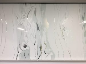 Drytac Window Film Used In University Project