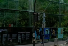 HEXIS Digital Printing Media Used In Exhibition Hexis Digital Printing Media Used In Exhibition