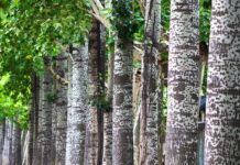 NUtec Digital Ink Promoting Sustainability And Ink Ranges At Graphics, Print And Sign Expo NUtec Digital Ink Promoting Sustainability At Graphics, Print & Sign Expo