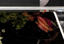 Business Enhances Laminate Décor Paper Print Production With New Agfa Press Business Enhances Laminate Décor Paper Print Production With New Agfa Press