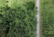 Putting Environmental Sustainability At The Heart Of The Organisation Putting Environmental Sustainability At The Heart Of The Organisation