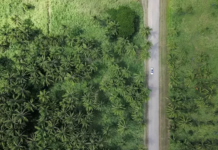 The Starting Point For A Sustainability Programme For Print Businesses The Starting Point For A Sustainability Programme