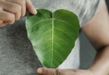 DuPont And Greentex Highlighted Ink And Fabric Collaboration DuPont And Greentex Highlighted Ink And Fabric Collaboration