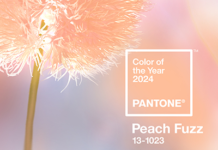 Consumers Can Produce PANTONE Colour Of The Year With X-Rite Workflow Solutions Consumers Can Produce PANTONE Colour Of The Year With X-Rite Workflow Solutions